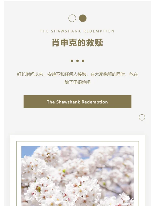 简约风格「肖申克的救赎」模板封面