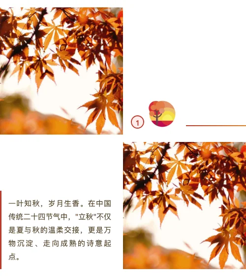 一叶知秋样式预览