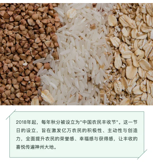 中国农民丰收节样式预览