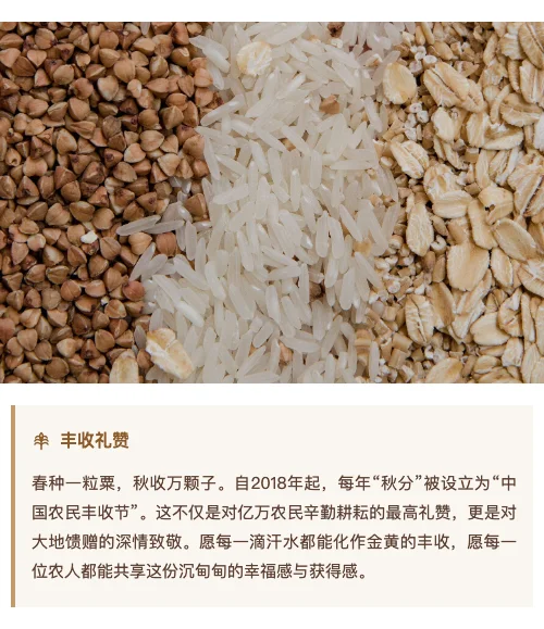 丰收礼赞样式预览